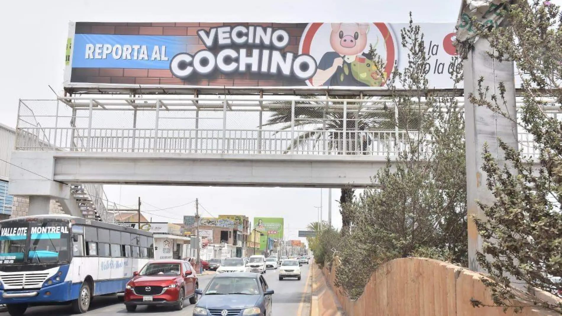 Entre 50 y 80 reportes ciudadanos en contra de vecinos cochinos se atienden diariamente en Torreón.